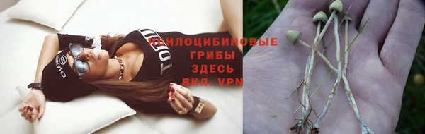 винт Абинск