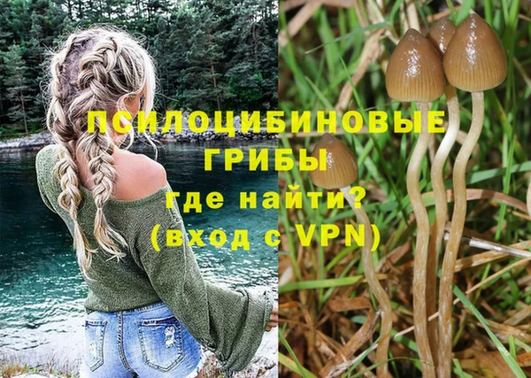 ГАЛЛЮЦИНОГЕННЫЕ ГРИБЫ Абдулино