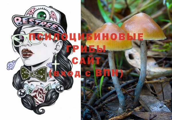 ГАЛЛЮЦИНОГЕННЫЕ ГРИБЫ Абдулино