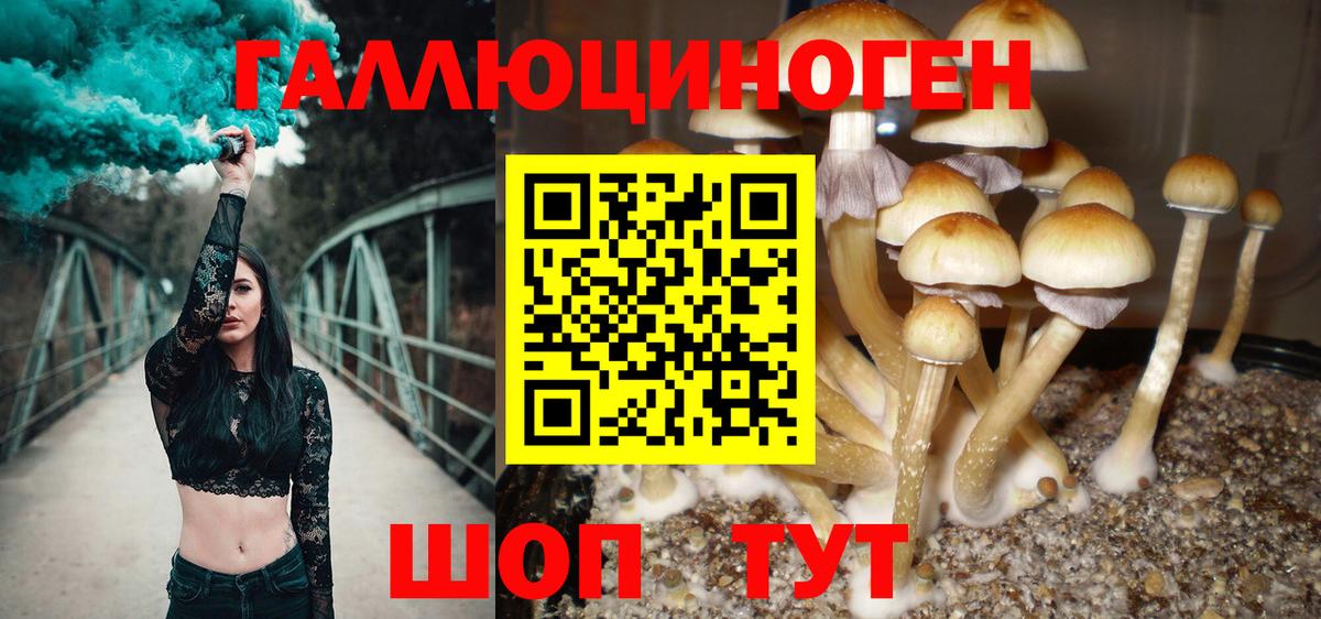 Галлюциногенные грибы мухоморы Липецк