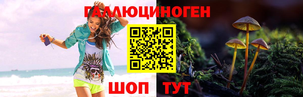 Псилоцибиновые грибы мицелий  Галлюциногенные грибы прущие грибы  Вход с VPN  Липецк 